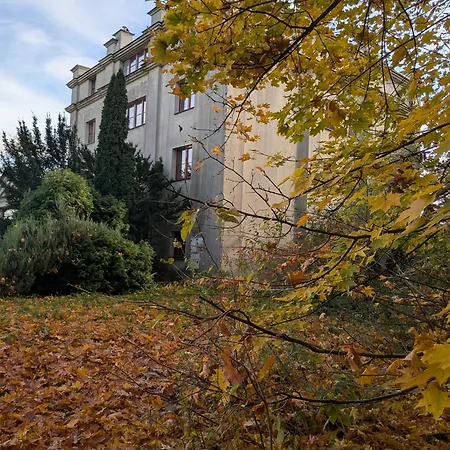 Zielona - Sauna! ゲストハウス パシュクフカ